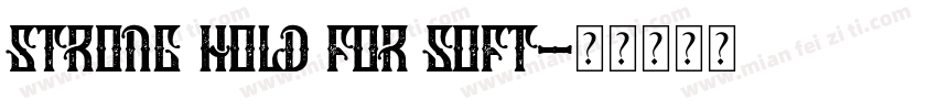 Strong hold For soft字体转换